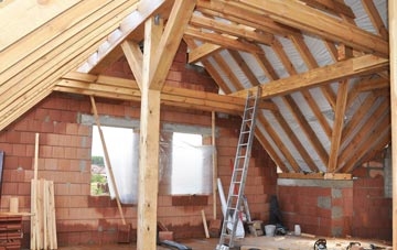 Trelights attic trusses