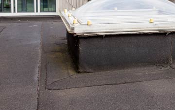 disadvantages of Trelights flat roofs