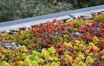 the cost of Trelights green roof installation