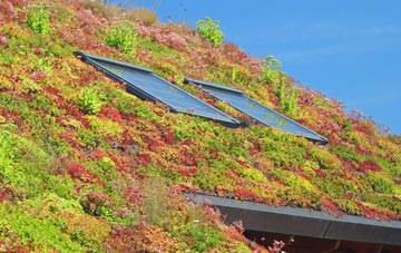 Trelights living roof systems